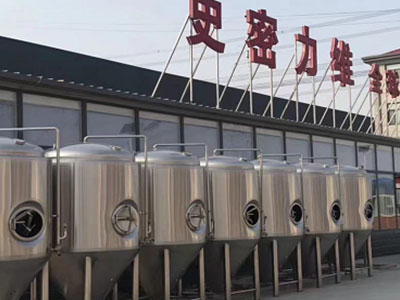 四川精酿啤酒设备厂—如何判断精酿啤酒设备的密封件需要更换？